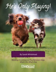  He's Only Playing! Meeting, Greeting and Play Between Dogs. What's OK, What's Not - Sarah Whitehead