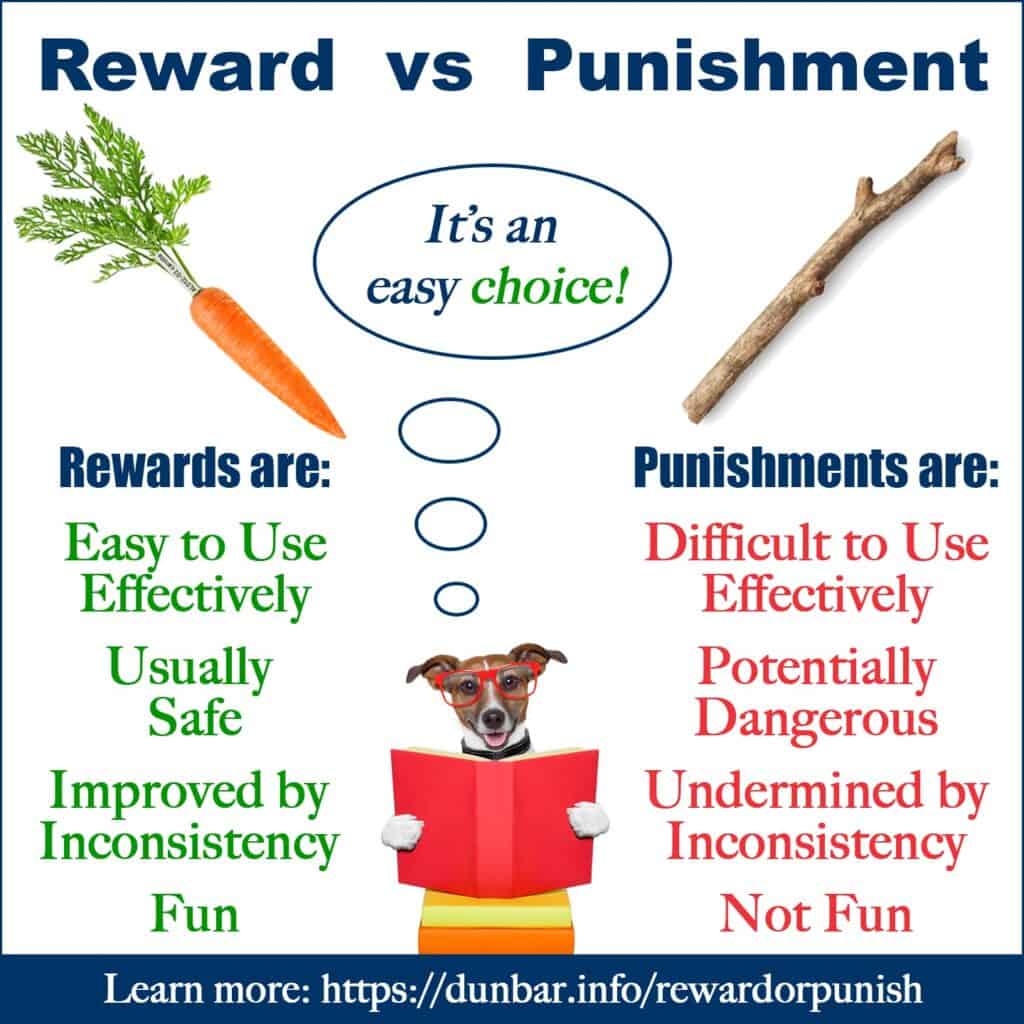 Reward vs. Punishment The Dunbar Academy