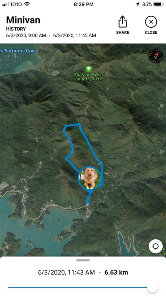 Live updates and recorded history of a dog walk on smartphone from Tractive GPS tracker for dogs