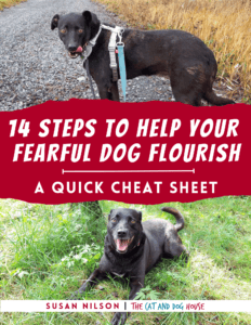 Cover image for the 14 Steps to Help Your Fearful Dog Flourish - a quick cheat sheet from The Cat and Dog House