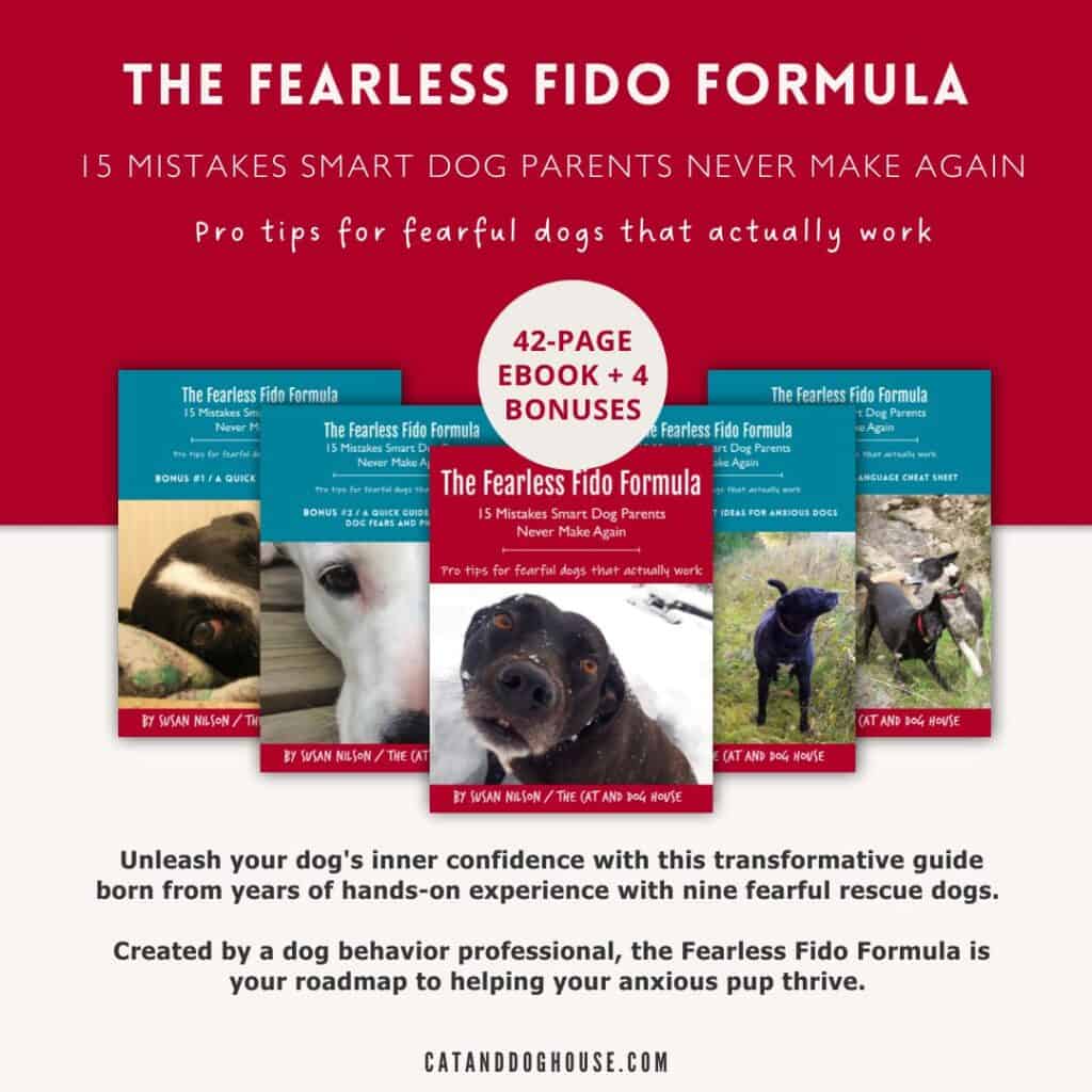 The Fearless Fido Formula cover image + 4 bonus materials cover images - special bundle for fearful dogs by Susan Nilson DipCAPBT PCBC-A