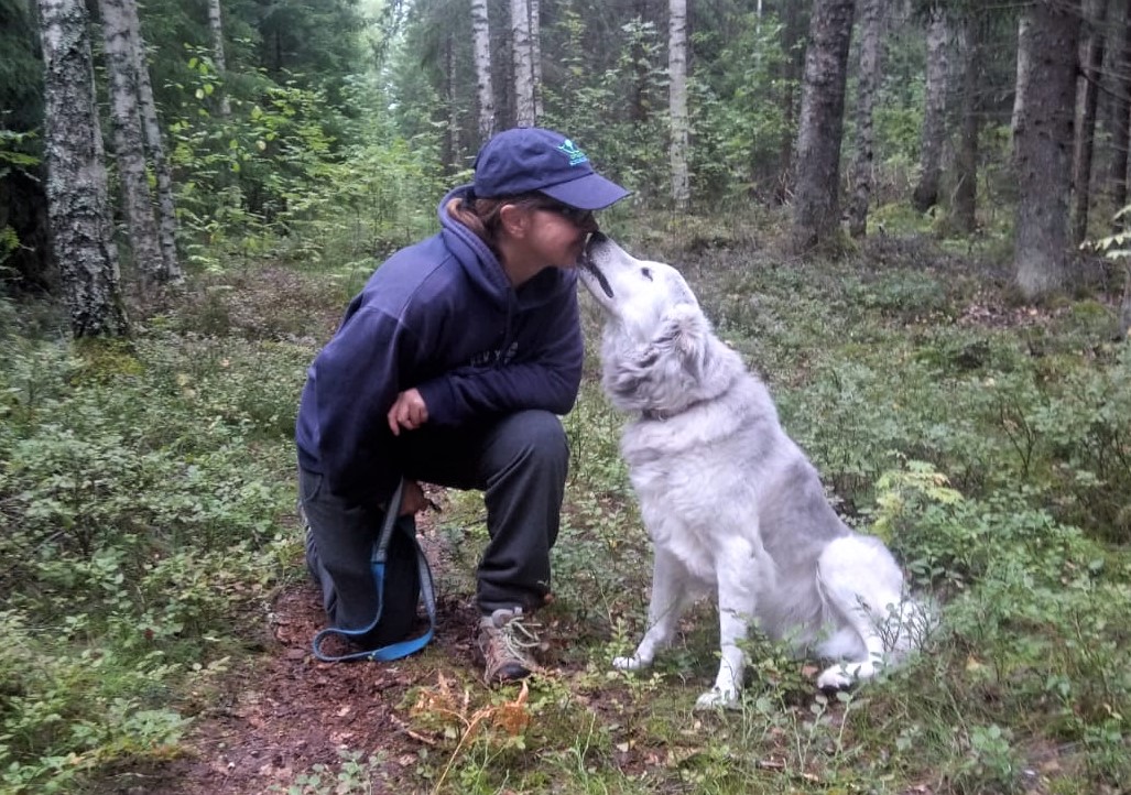 Susan Nilson & her saluki cross rescue dog Daisy rubbing noses in the forest